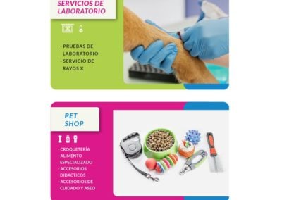 Diseño de pagina web para veterinaria PetStep